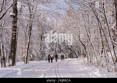 Montréal, CA - 01 janvier 2020 : Les personnes marchant sur un sentier enneigé à Montréal sur le mont Royal Park (parc du Mont-Royal) après une tempête de neige. Banque D'Images