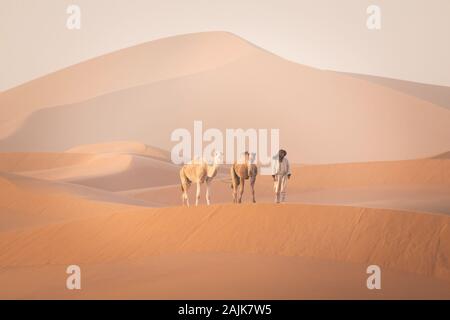 Des bédouins et des chameaux sur le chemin à travers le désert de sable. Nomad est à la tête d'une caravane de chameaux dans le Sahara pendant une tempête de sable, le Maroc, l'Afrique homme Silhouette Banque D'Images