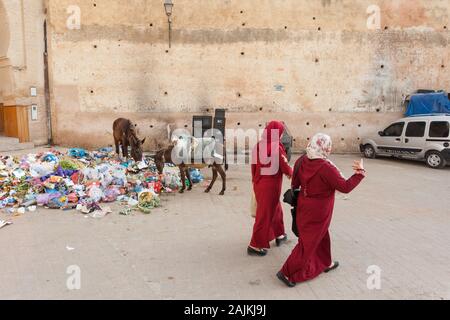 Deux femmes dans djellabas marchant près des ânes à la recherche de déchets alimentaires dans le tas de déchets près des murs de la ville et Bab Mahrouk à Fes (Fez), Maroc Banque D'Images