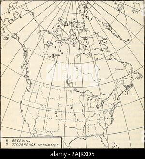 Répartition et migration des goélands de l'Amérique du Nord et leurs alliés . aussi a été prise sur la Barbade Juillet 10,1888 (Feilden). Ces trois semblent être les seuls certains documents atany saison de l'année pour l'Amérique du Sud et les Antilles, andthere ne semble pas y avoir d'enregistrer à n'importe quel moment de l'année pour CentralAmerica et au Mexique. Il y a plusieurs enregistrements de décembre pour les Etats-Unis, mais ceux-ci semblent représenter la fin de l'automne les migrants ratherthan les oiseaux hivernants. Dans l'hémisphère oriental l'espèce hiverne3673°-Bull. 292-152 10 292 Bulletins, DÉPARTEMENT AMÉRICAIN DU AGEICULTUEE. au sud le long des côtes de l'Europe Banque D'Images