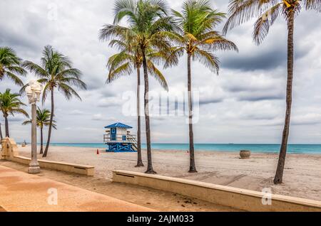 Palmiers sur la plage de Hollywood, en Floride. Banque D'Images