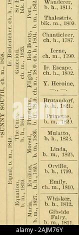 Le cheval pur-sang : son origine, comment se reproduisent et comment [à] choisir lui : avec le guide des éleveurs de chevaux : embrasser une centaine de tableaux pedigrees des principaux sires ... . 1)71-plaqués 17,s0 bv II n 1 i : ? ? Llerod 17.)8)-Dan. 1763 de 1749 spectateurs (crabe 17i3) 17-Hovaiia HIcik sliv&gt;i ; iil (..id. Ar. 17*4l. Pot-S-o-s 1773 (iri)4( Maria 1777 par Hérode (1758) 1743-Lieette Tartare 1772 bvSnap 1750 (Snip 1736(-Mlle Windsor 1754 par Dieu. Ar. 1734-Sist. pour faire du bénévolat byY. Belgrade Belgrade (Turk). Trumpator 17.^2 (Conducteur) 1767-1788 1774 PrnneUa par Highflyer (Hérode 17.5Si - Promesse !7() Banque D'Images