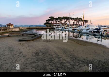 Tôt le matin sur la côte californienne. disponibles dans un milieu marin dans la baie de San Francisco Banque D'Images