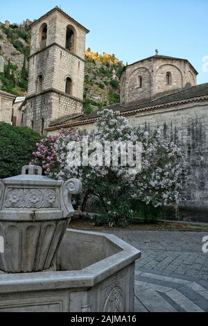 Église notre-Dame de Remedy et murs de la vieille ville autour du fort St John à Kotor, au Monténégro Banque D'Images