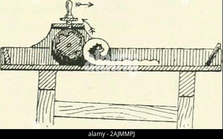 Lait, fromage et beurre, un manuel pratique sur leurs propriétés et les processus de leur production . ourse, effectuer lui-même en avant ; mais il ne doit pasêtre autorisés à le faire ; ni l'armature voyager plus vite ou slowerthan admettra du rouleau appuyant sur le beurre ; pour en casegrinding est inévitable, et cela tend à l'dissociationof mécanique les graisses solides et liquides, et aide à l'annulation de l'keepingquality. Le beurre devrait maintenant être roulés en propulsant le frameas avant, mais tournant la manivelle e dans l'autre sens, être theresult comme en Fig. 194.Le rol Banque D'Images