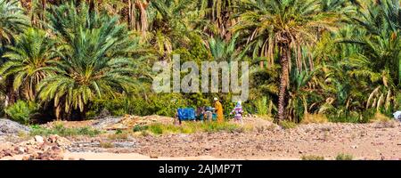 Zagora, Maroc - 12 novembre 2019 : les gens et de l'âne dans la vallée du Draa oasis Banque D'Images