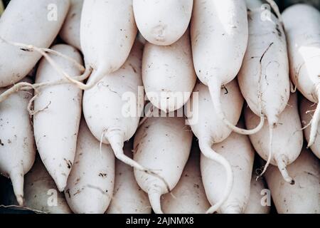 Beaucoup de radis daikon blanc. Les radis daikon blanc les unes aux autres. Banque D'Images