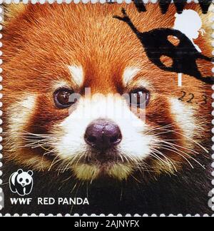 Gros plan du panda rouge sur timbre-poste britannique Banque D'Images