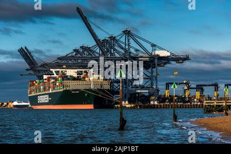 UK Trade - Jamais Globe-Conteneurs Charge et décharge des conteneurs au port de Felixstowe avant de partir pour Hambourg Banque D'Images