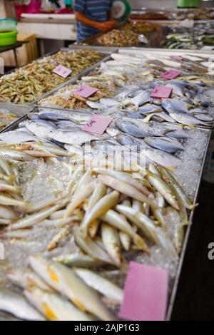 Divers Le poisson frais sur l'affichage à l'échoppe de marché Banque D'Images