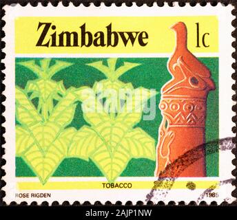 Les plants de tabac sur timbre-poste du Zimbabwe Banque D'Images