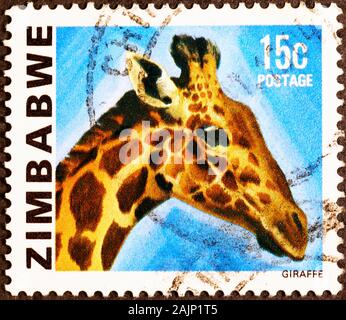 Tête de girafe sur timbre-poste du Zimbabwe Banque D'Images