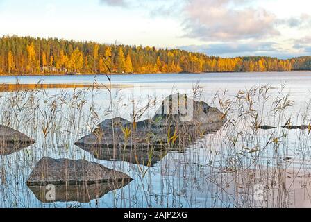 Des pierres dans l'eau du lac Saimaa en municipalité Puumala. Savonie du Sud (Savo) Région. La Finlande Banque D'Images