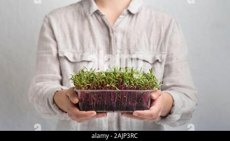 Femme suggère à la saine alimentation. Micro pousses vertes en pot en plastique composée de femmes sur fond gris, panorama Banque D'Images