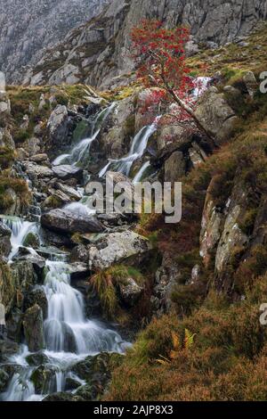 Un petit ruisseau de montagne de Llyn Llyn à Bochlwyd Ogwen. La montagne dans l'arrière-plan est Tryfan. Banque D'Images