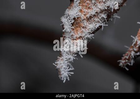 Belles fleurs de givre accroché par un morceau de métal pointu Banque D'Images