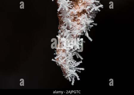 Fleurs de givre accroché par un morceau de métal tranchant, avec un fond noir Banque D'Images