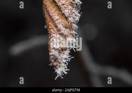 Belles fleurs de givre accroché par un morceau de métal pointu Banque D'Images