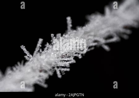 Fleurs gelée délicate qui ressemble à un morceau de bijoux, avec un fond noir Banque D'Images