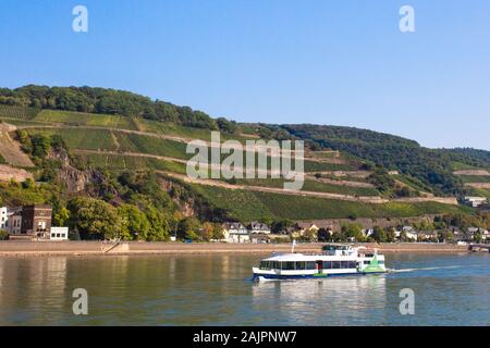 Magnifique paysage allemand pittoresque de village et vignoble à plusieurs niveaux le long du Rhin avec bateau de croisière sur le fleuve en vue. Banque D'Images