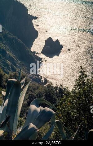 Journée De Trekking De Riomaggiore À Campiglia, Parc National Des Cinque Terre, Site De L'Unesco, Ligurie, Italie Banque D'Images