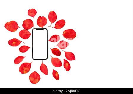 Composition florale fête télévision lay téléphone mobile avec écran blanc et coloré de feuilles d'eucalyptus sur fond blanc, vue du dessus. Banque D'Images