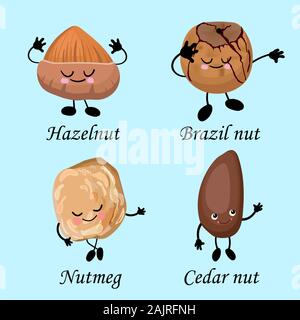 Collection de caractères les écrous. Des aliments sains. Le végétarisme et alimentation saine. Noisettes, noix du Brésil, noix de pin, les noix de muscade.. Banque D'Images