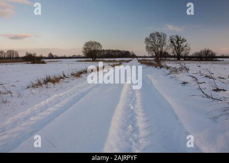 Des traces de roues dans la neige sur une route de campagne Banque D'Images