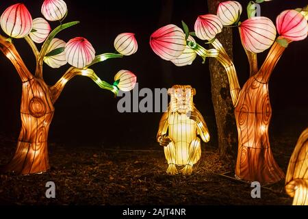 Singe géant lanterne de Chine, symbole du zodiaque. Fête des lumières à Pakruojis Manor, Lituanie Banque D'Images