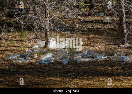 Plainte de la photo. Foule de bouteilles en plastique dans la forêt de pins de los Cuadros. Murcia, Espagne Banque D'Images