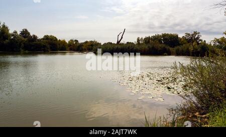 Étang de pêche près de la rivière Sava, Zagreb Banque D'Images