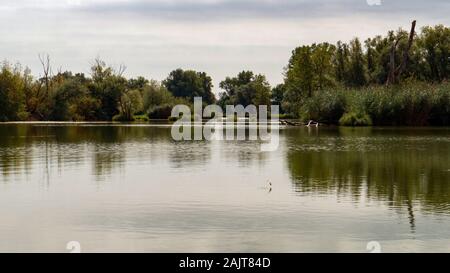 Étang de pêche près de la rivière Sava, Zagreb Banque D'Images