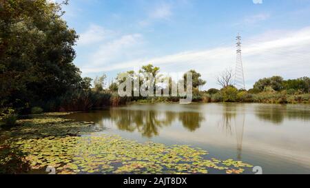 Étang de pêche près de la rivière Sava, Zagreb Banque D'Images