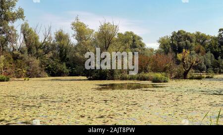 Étang de pêche près de la rivière Sava, Zagreb Banque D'Images