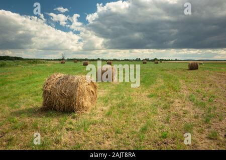 Balles de foin dans le pré, d'horizon et les nuages sur le ciel bleu Banque D'Images