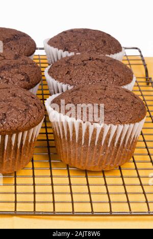 Maison Unfrosted taille jumbo petits gâteaux au chocolat cuit dans les moules en papier. Ils sont de couleur noire sur un circuit de refroidissement refroidissement cuisine rack. Banque D'Images