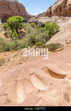 Matates dans un canyon dans le sud de l'Utah. Matates ont été utilisés par les autochtones pour moudre les céréales et d'autres matériaux. Banque D'Images