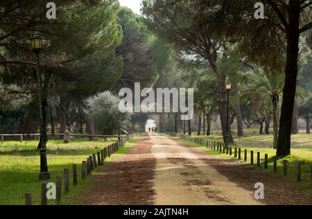 À la voie Le Parc National de Doñana, Province de Huelva, Espagne Banque D'Images