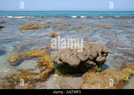 Les mares et les formations rocheuses de Coral Cove Park à Tequesta, Floride, à l'extrême la marée basse sur l'après-midi calme clair. Banque D'Images