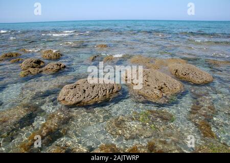 Les mares et les formations rocheuses de Coral Cove Park à Tequesta, Floride, à l'extrême la marée basse sur l'après-midi calme clair. Banque D'Images