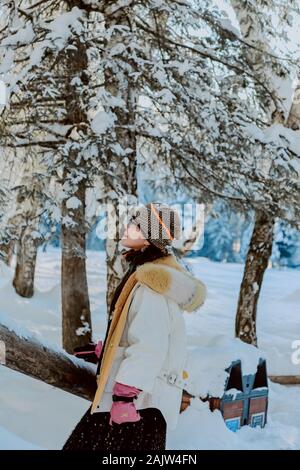 Le Xinjiang, Xinjiang, Chine. 6 janvier, 2020. Le Xinjiang, Chine-Janvier 4, 2020 - le paysage naturel du village Hemu, Altay au Xinjiang en hiver.Les maisons en bois et des bois ici sont couvertes de neige, et le paysage est vraiment magnifique. Crédit : SIPA Asie/ZUMA/Alamy Fil Live News Banque D'Images