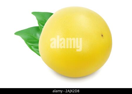 Ensemble de pomelo avec feuille isolé sur fond blanc Banque D'Images