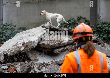 Herne, Rhénanie du Nord-Westphalie, Allemagne - formation de chien de sauvetage, dans les ruines de bâtiments effondrés, les chiens suivi pratique la recherche de blessés, buri Banque D'Images