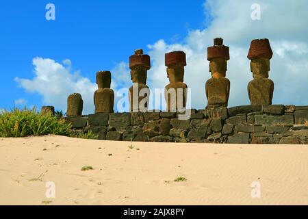 Sept Statues Moai gigantesque de l'ahu Nau Nau Ceremonial plate-forme à partir de l'arrière, la plage de Anakena, île de Pâques, Chili Banque D'Images