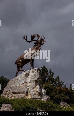 Le caribou en bronze du Mémorial de Beaumont-Hamel Newfoundland canadiens qui se sont battus et sont morts dans la bataille de la Somme. Banque D'Images