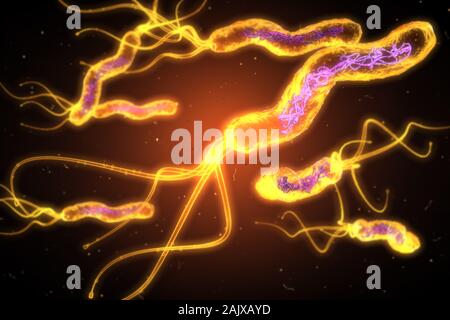 3D illustration montrant Vue microscopique d'un groupe de bactéries Helicobacter pylori Banque D'Images