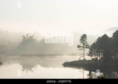 Matin soleil brille à travers le brouillard et les arbres sur l'eau. Banque D'Images
