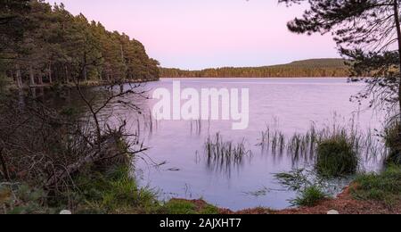 Soirée sur le Loch Garten dans les Highlands d'Ecosse. Banque D'Images