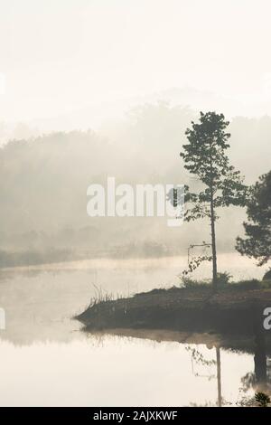 Matin soleil brille à travers le brouillard et les arbres sur l'eau. Banque D'Images