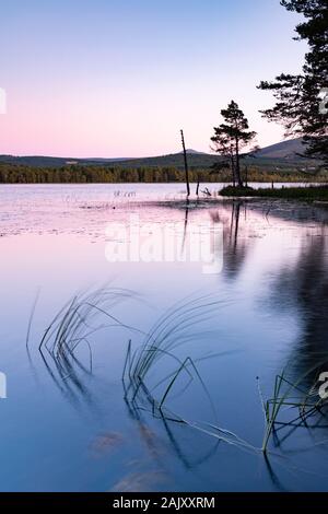 Soirée sur le Loch Garten dans les Highlands d'Ecosse. Banque D'Images